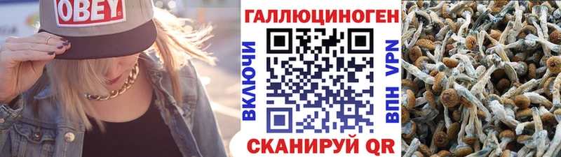 Галлюциногенные грибы мухоморы  Купить закладки  Тара 