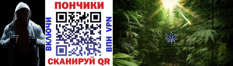 Марихуана THC 21%  Купить  Тара 